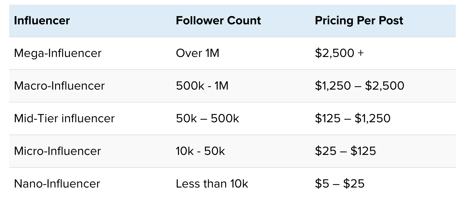 tik tok influencer statistics